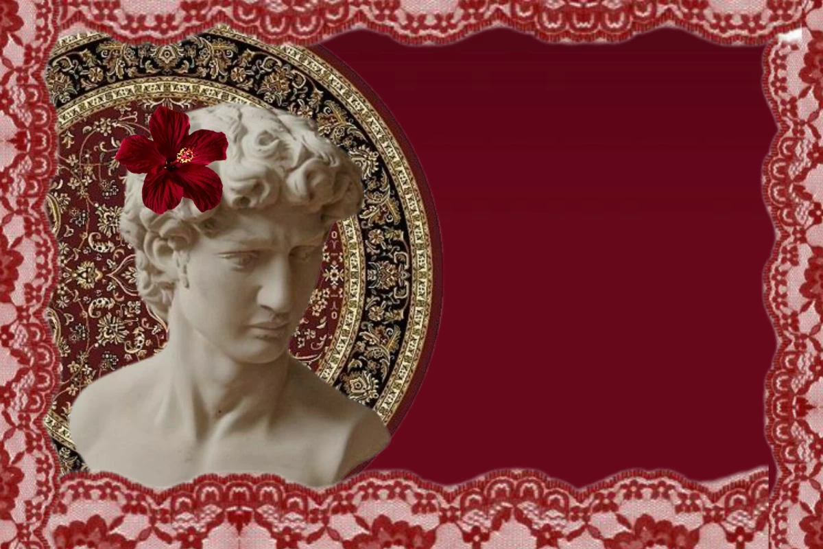 عکس کتابی به زبان گربه