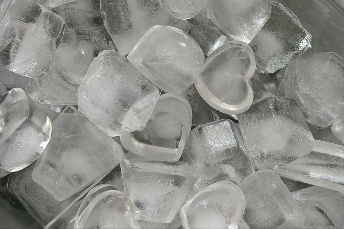 عکس کی بهت یاد داده؟