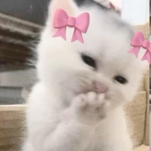 عکس چادری ¹¹⁰