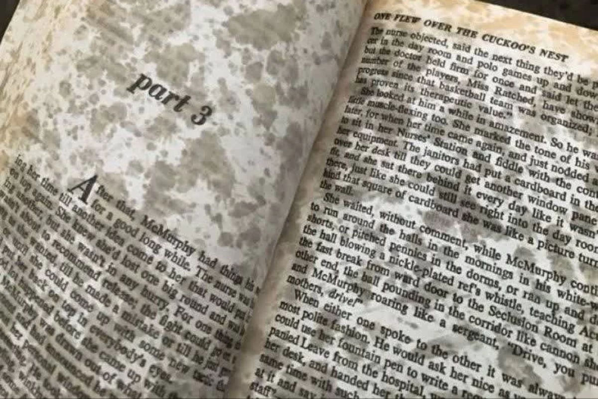 عکس «اینستاگرام کتابی»