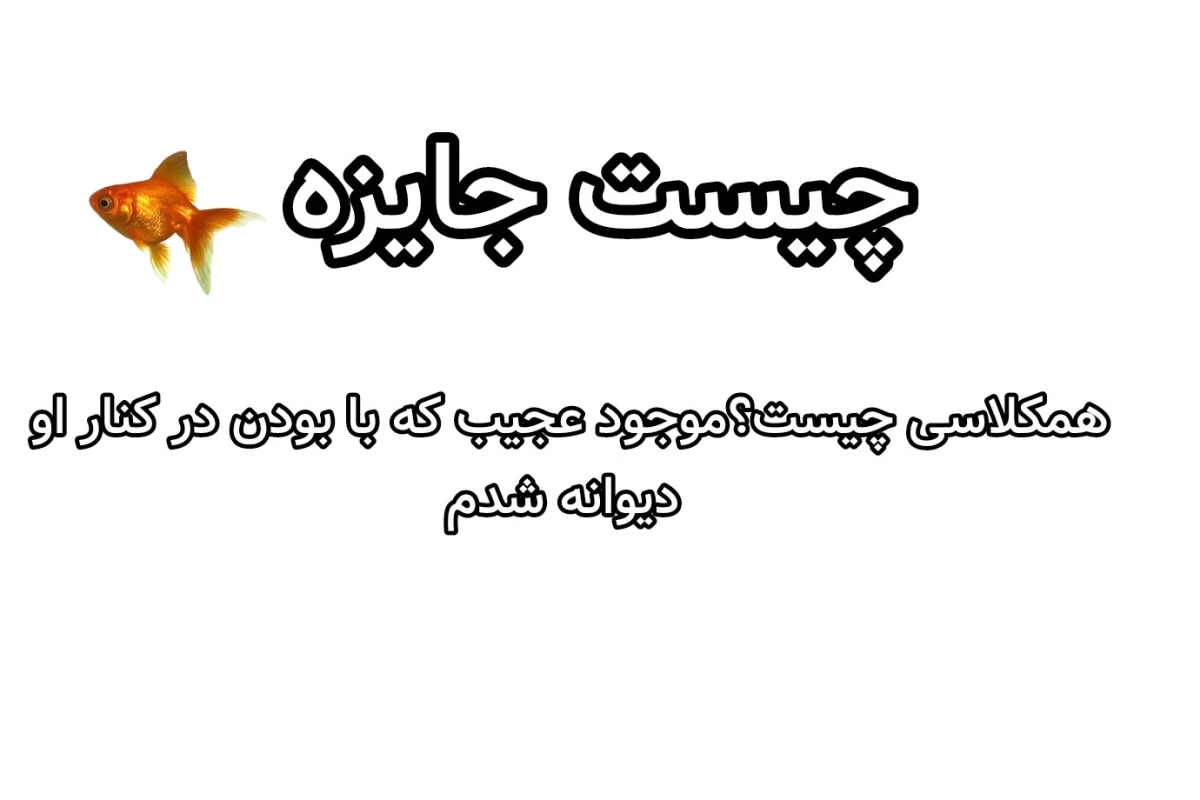 عکس ما مثلا دوستیم ولی