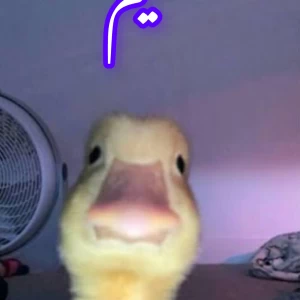 عکس میم🎀part²