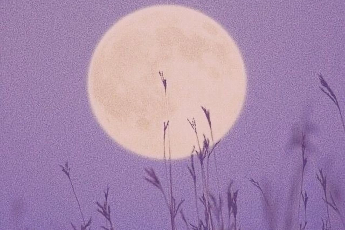 عکس آنسوی چوبدستی‌ها، سکوتی که هرگز شنیده نشد p4(ver اصلی)