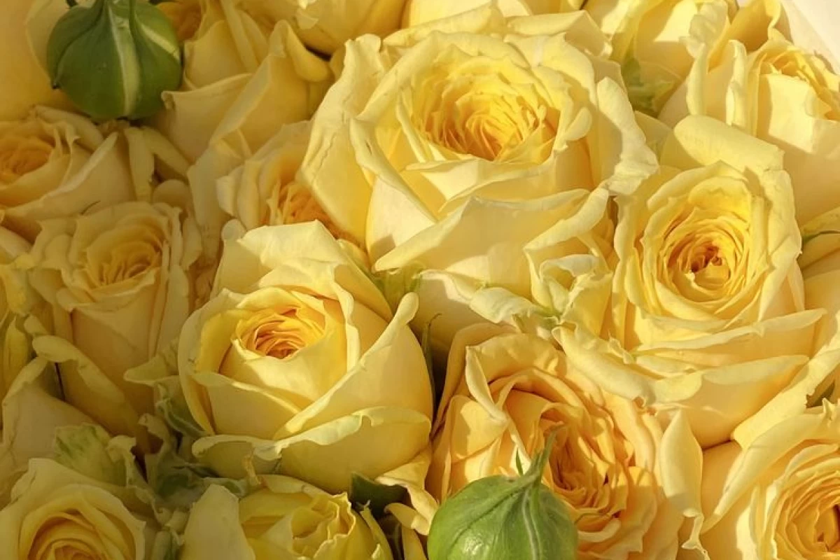 عکس اشعاری در وصف تو...