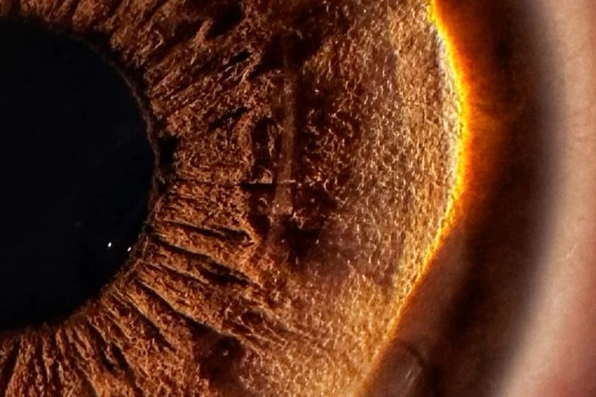 عکس حقایق عجیب بدن انسان!