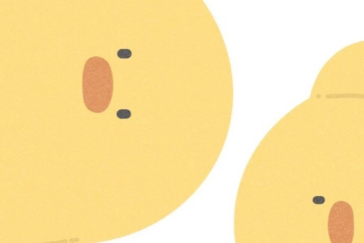 عکس اشنایی با خاله اردک🩷