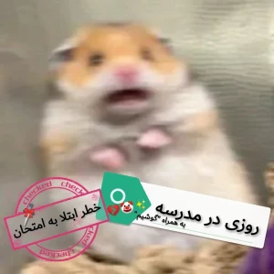 عکس یه روز مثلا خیلی نرمال در مدرسه