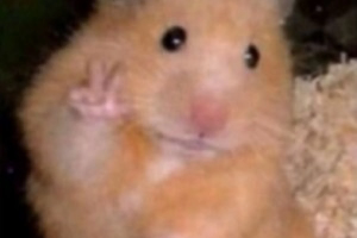 عکس یه روز مثلا خیلی نرمال در مدرسه