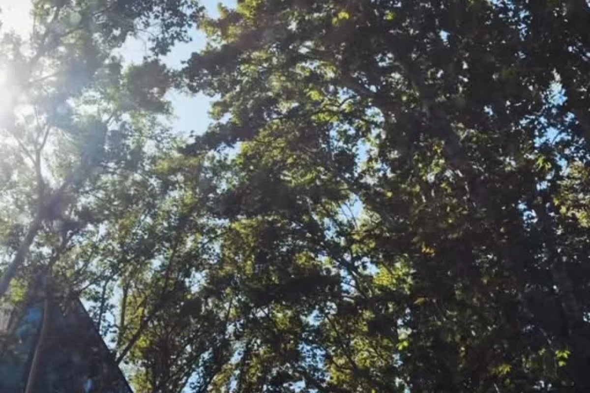 عکس بیوگرافی من