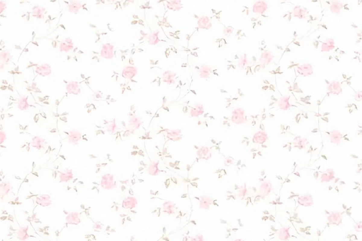 عکس مداح شو