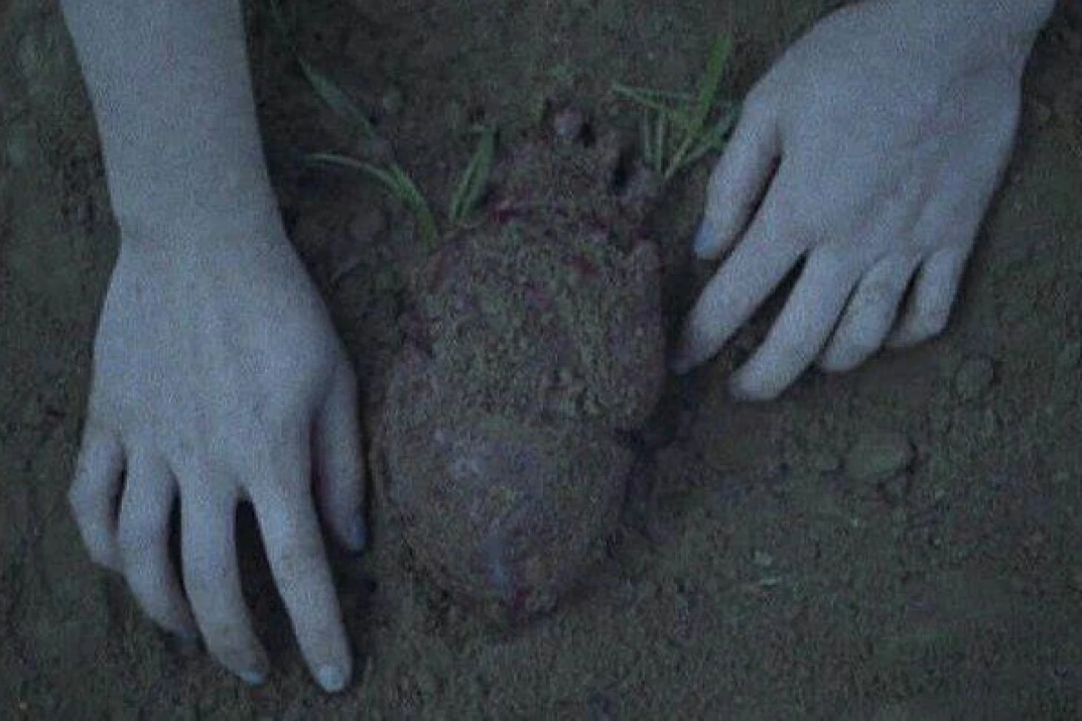 عکس مکانی برای نویسندگی