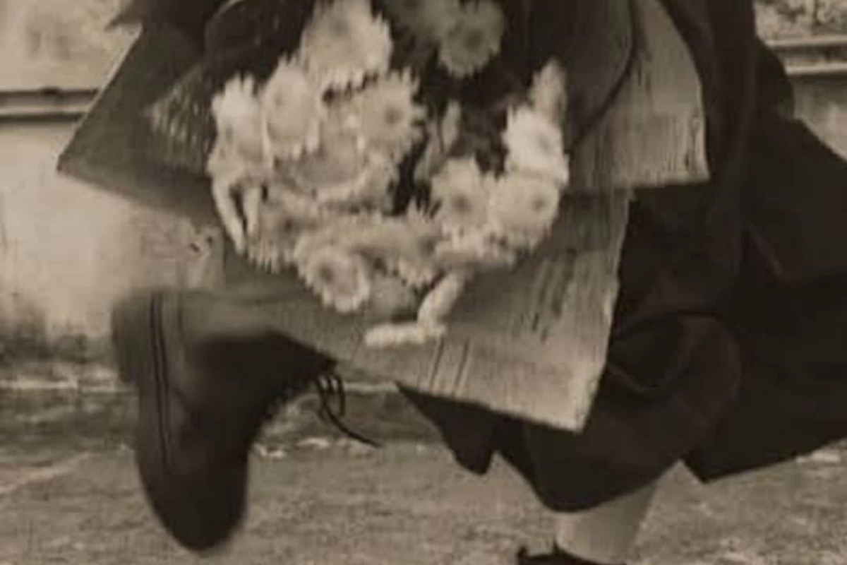 عکس من کی هستم؟