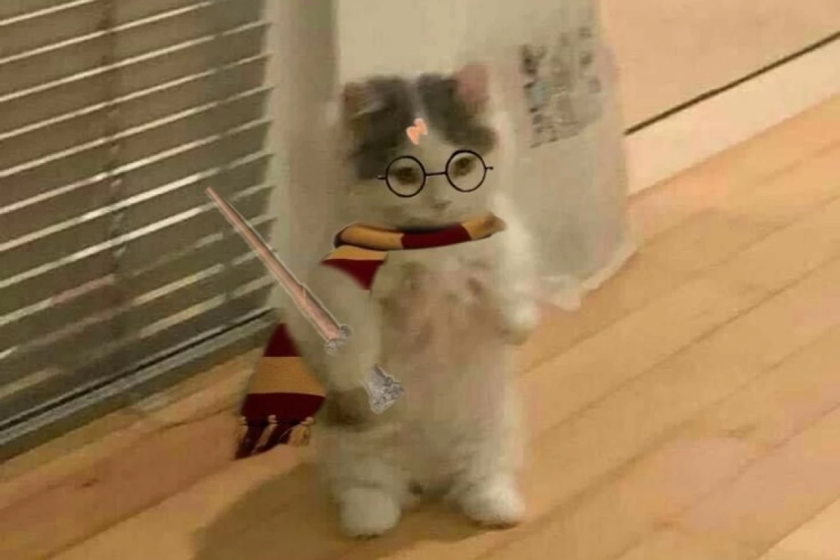 عکس شخصیتت تو هری پاتر