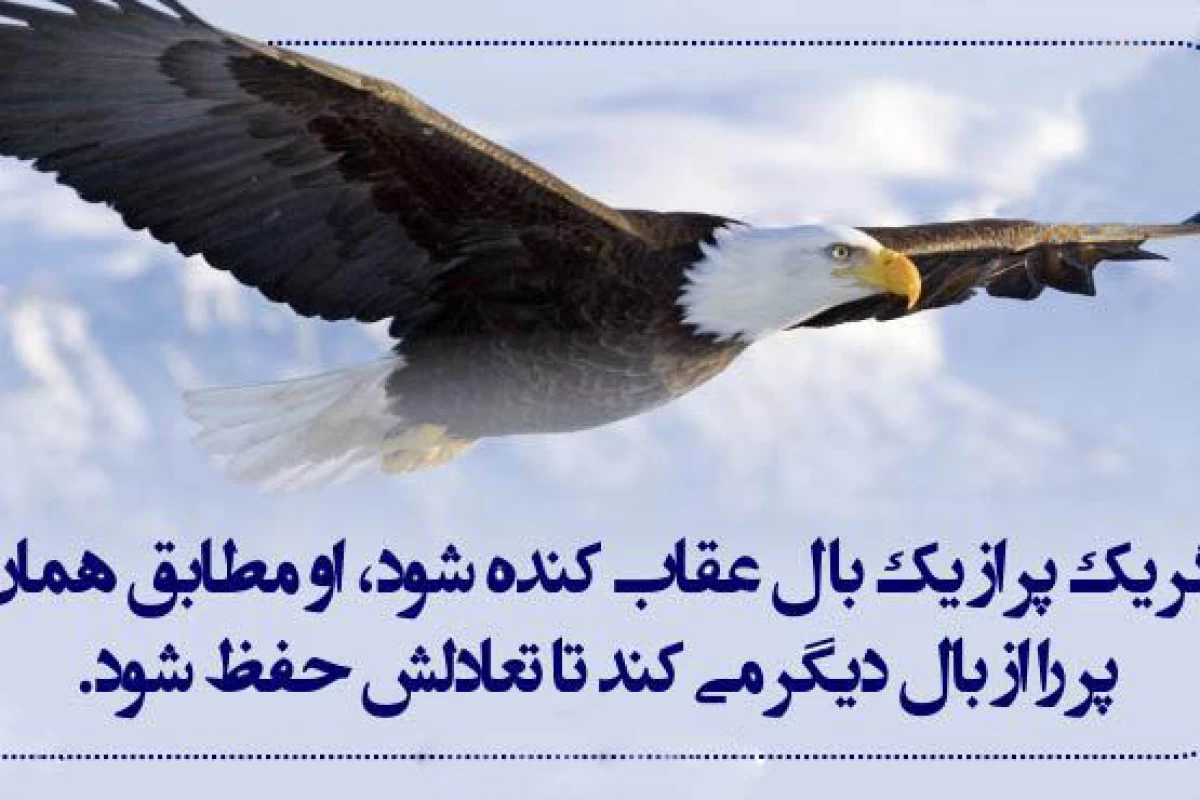 عکس دانستنی های عجیب پارت ۲