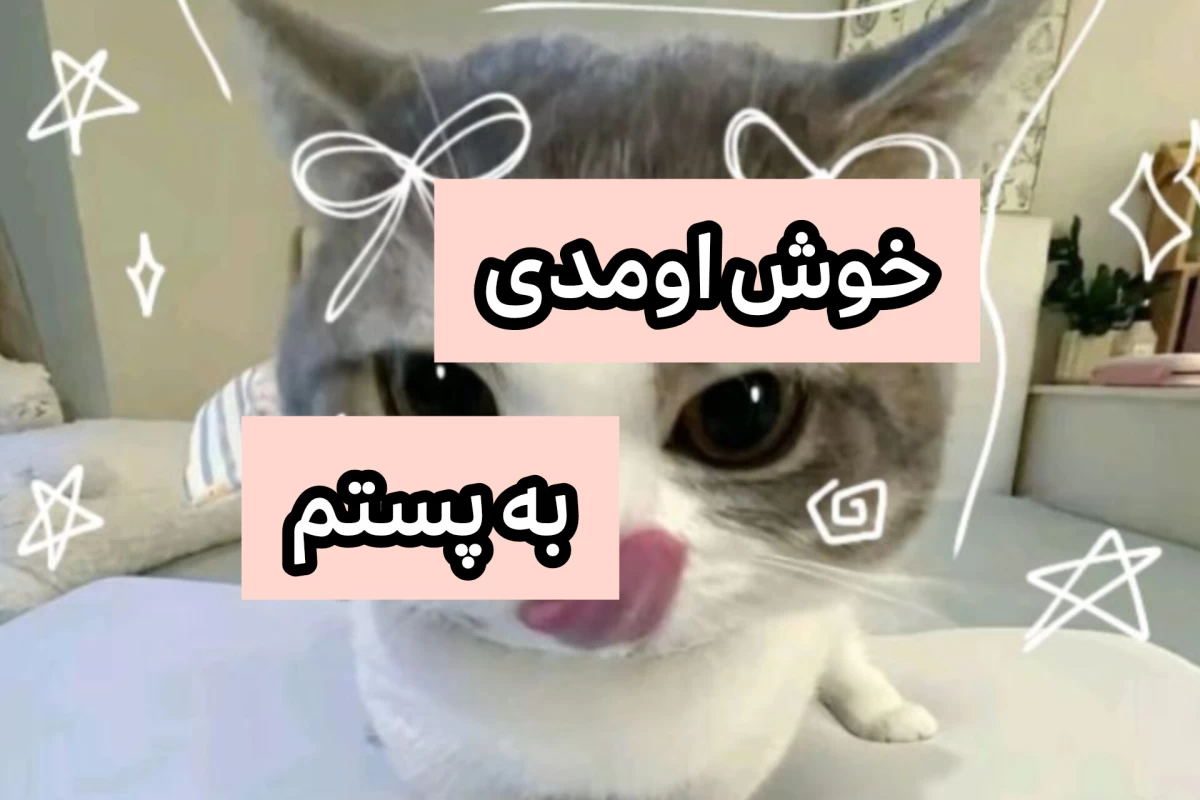 عکس میمستان پارت دوم☆¤