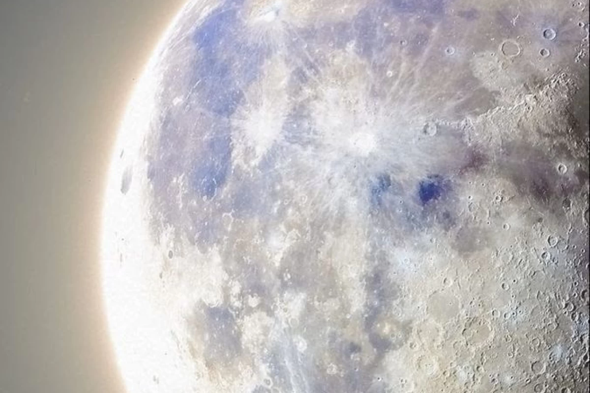 عکس ونسان ونگوگ کیست!؟