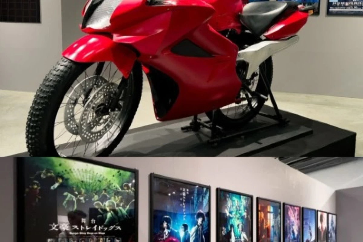 عکس دروغ نگو معلومه دلت خواست!