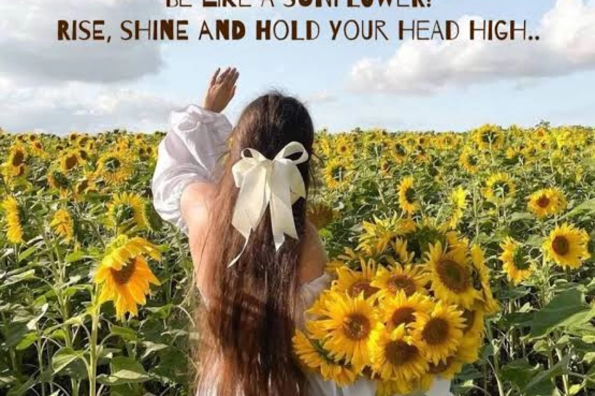 عکس روز های افتابی