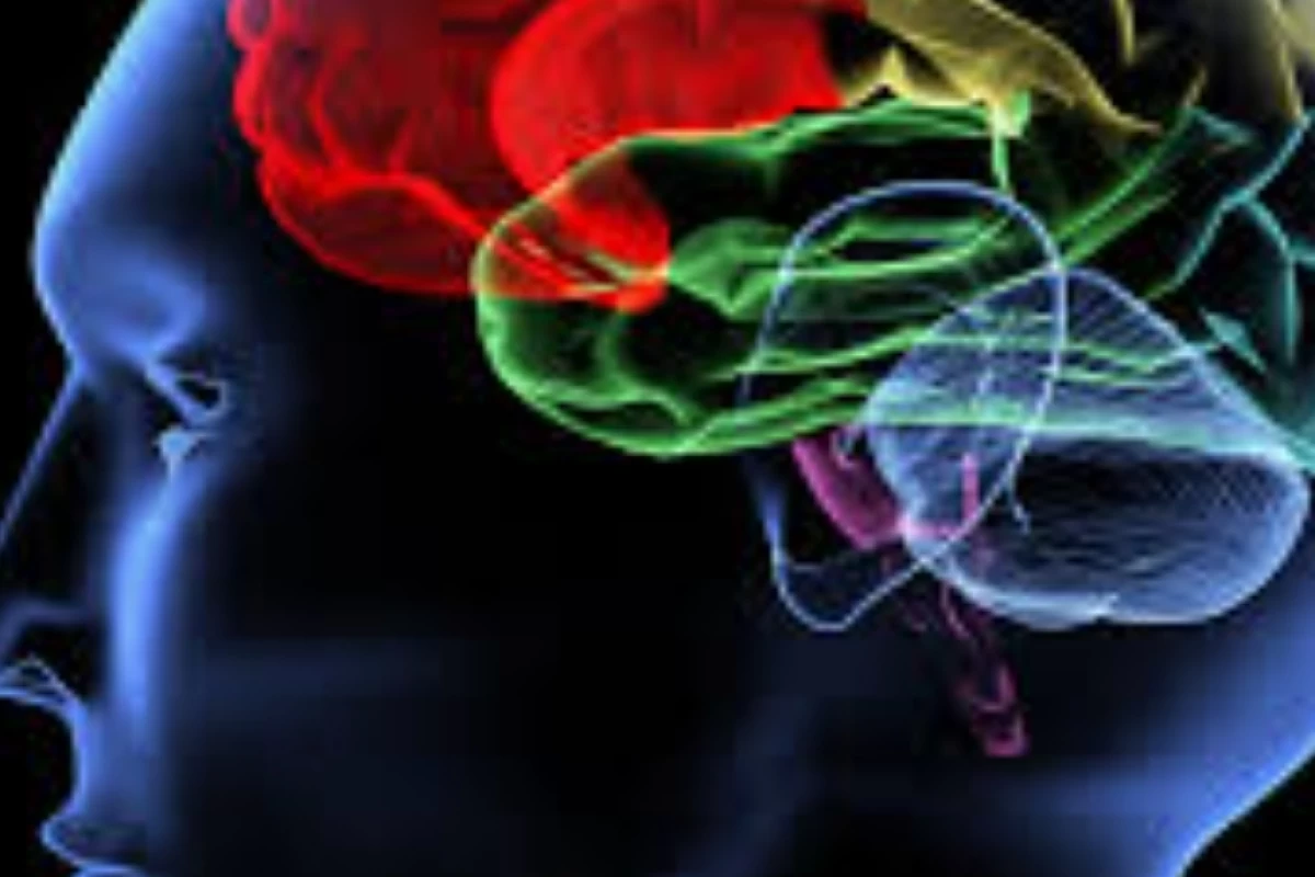 عکس ذهنت مثل خودت عمل میکنه؟