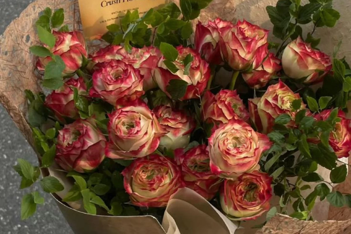 عکس برایِ تو