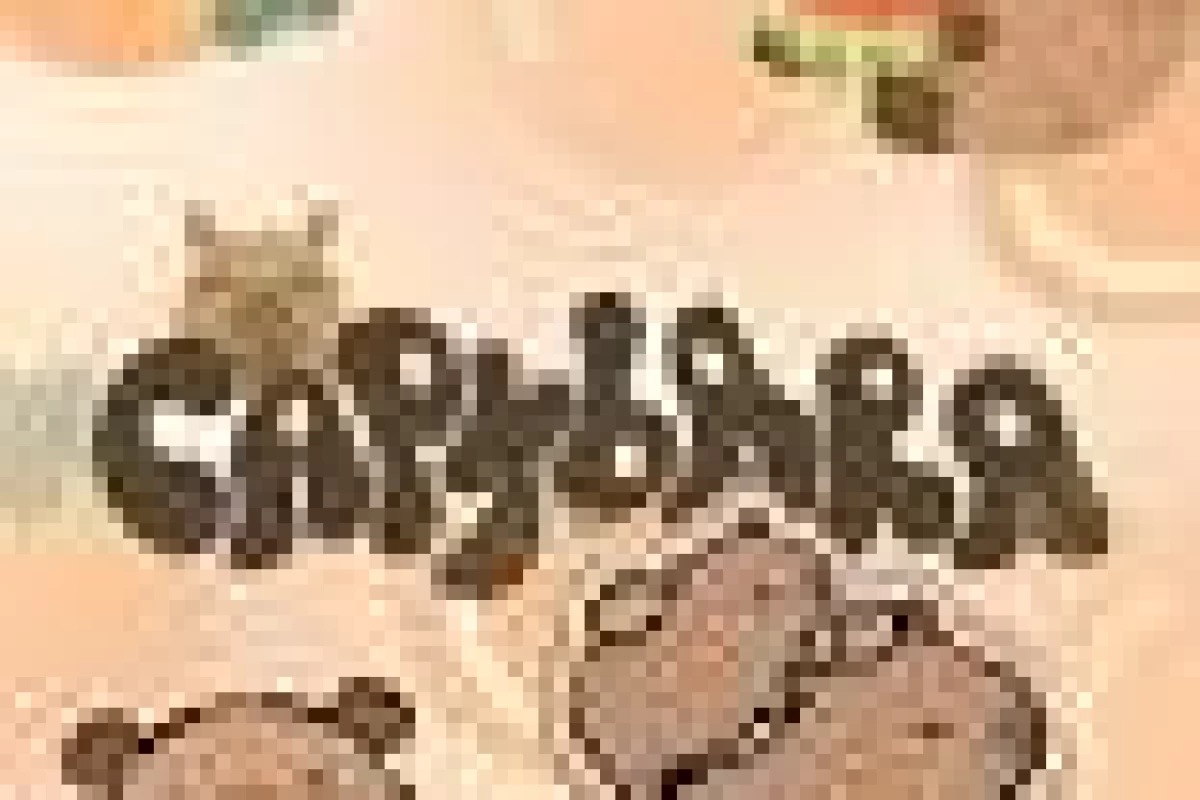 عکس کپی بارا☆!