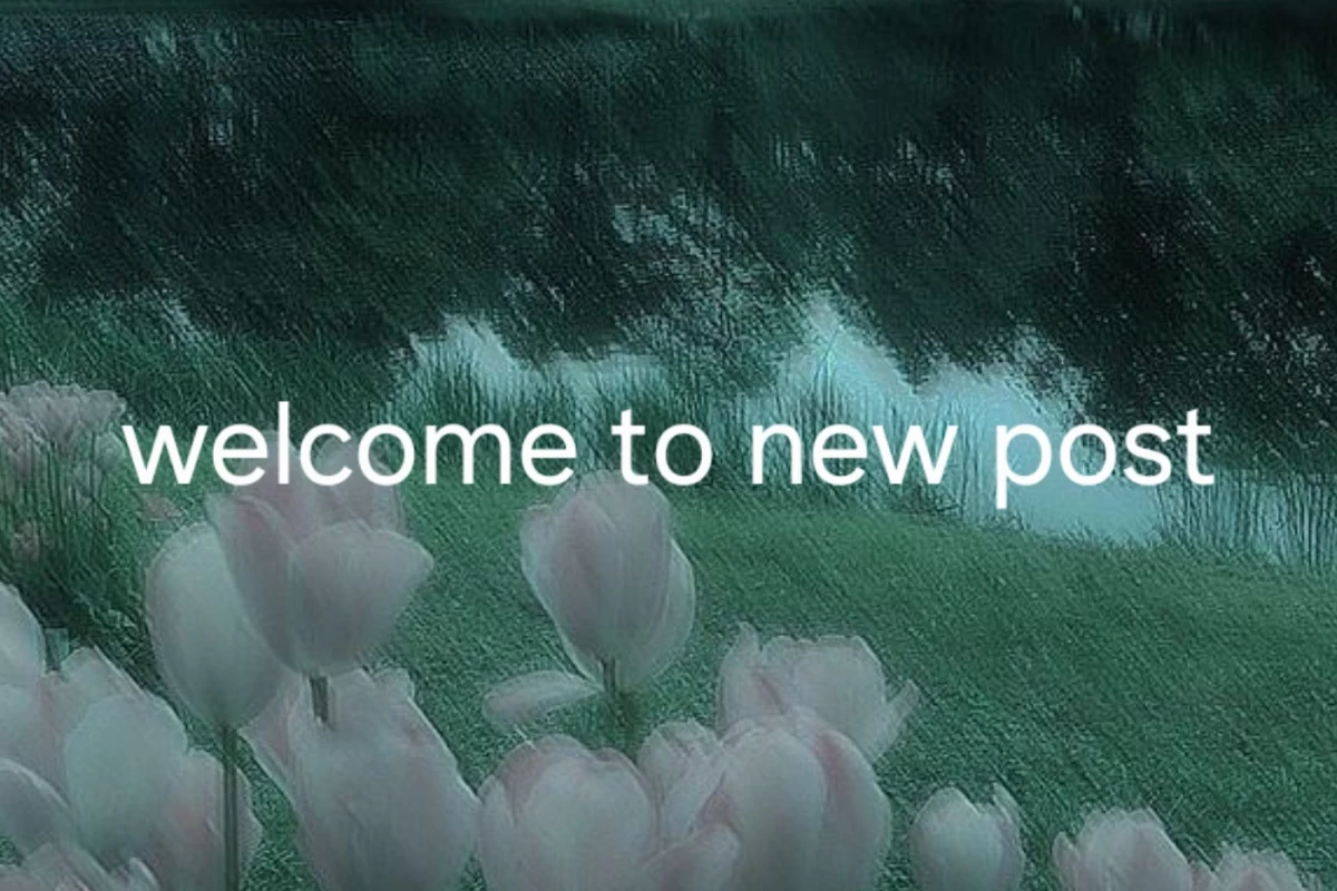 عکس :چرا انقدر ذوق زدی؟ چون...