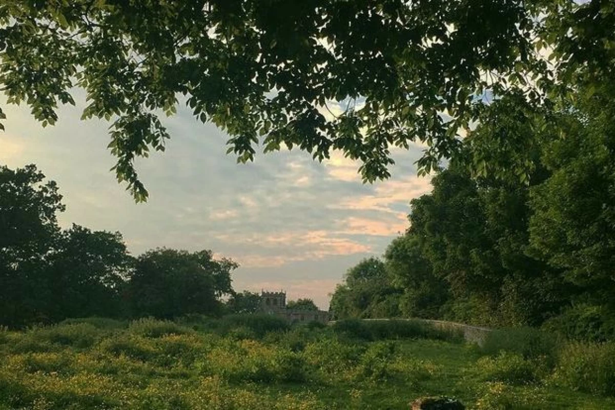 عکس 🍏: هی!خسته به نظر میرسی