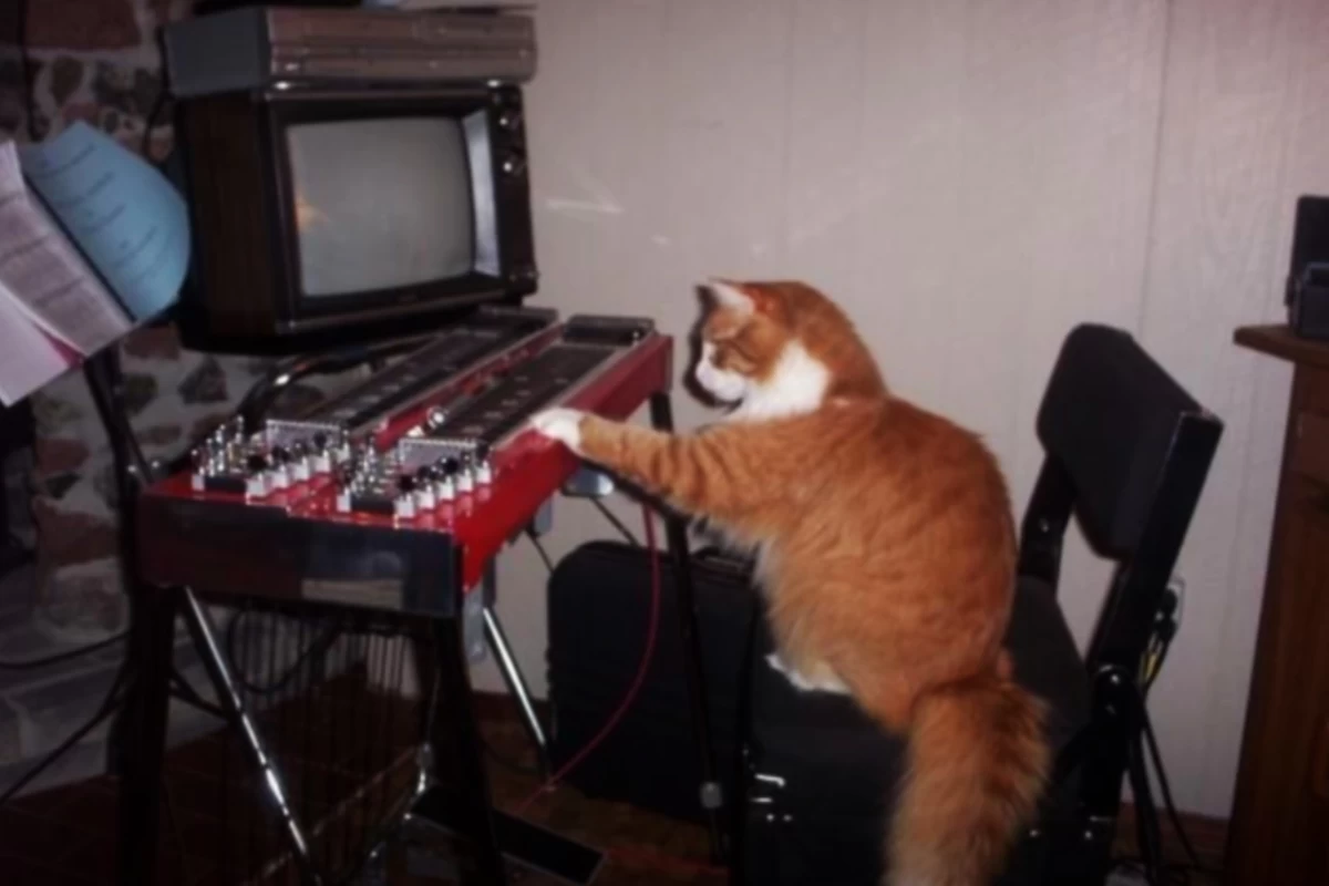 عکس ★نقاشی های مادربزرگ!