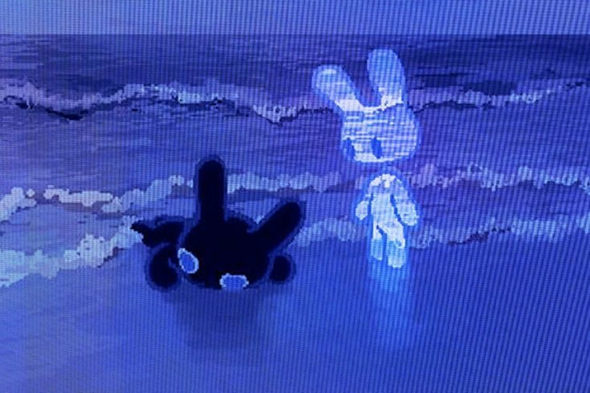 عکس (        منم هستم !      )