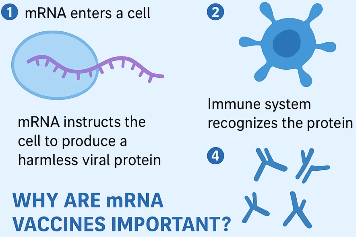 عکس واکسن mRNA