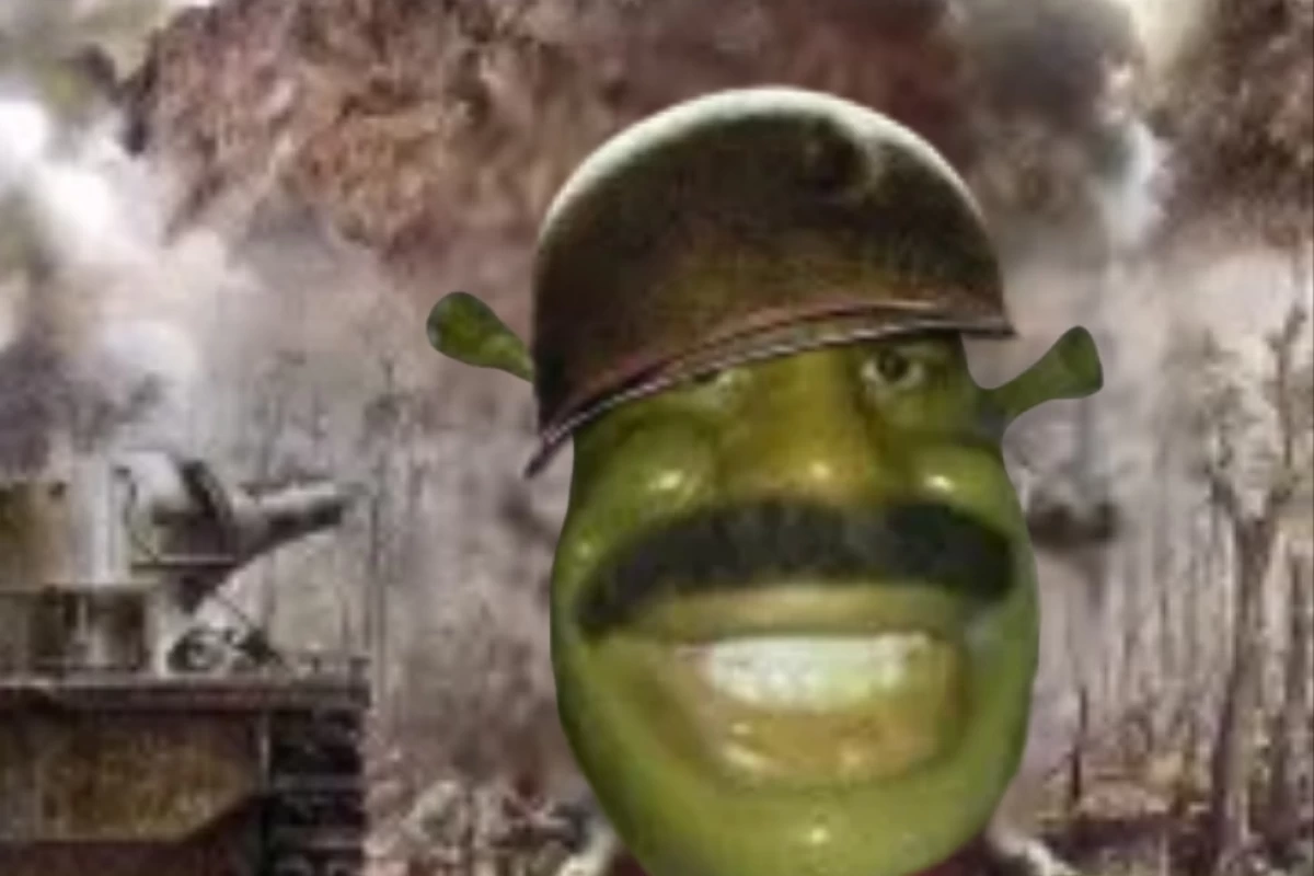 عکس انواع کاربرا بعد ساختن اکانت تو تستچی