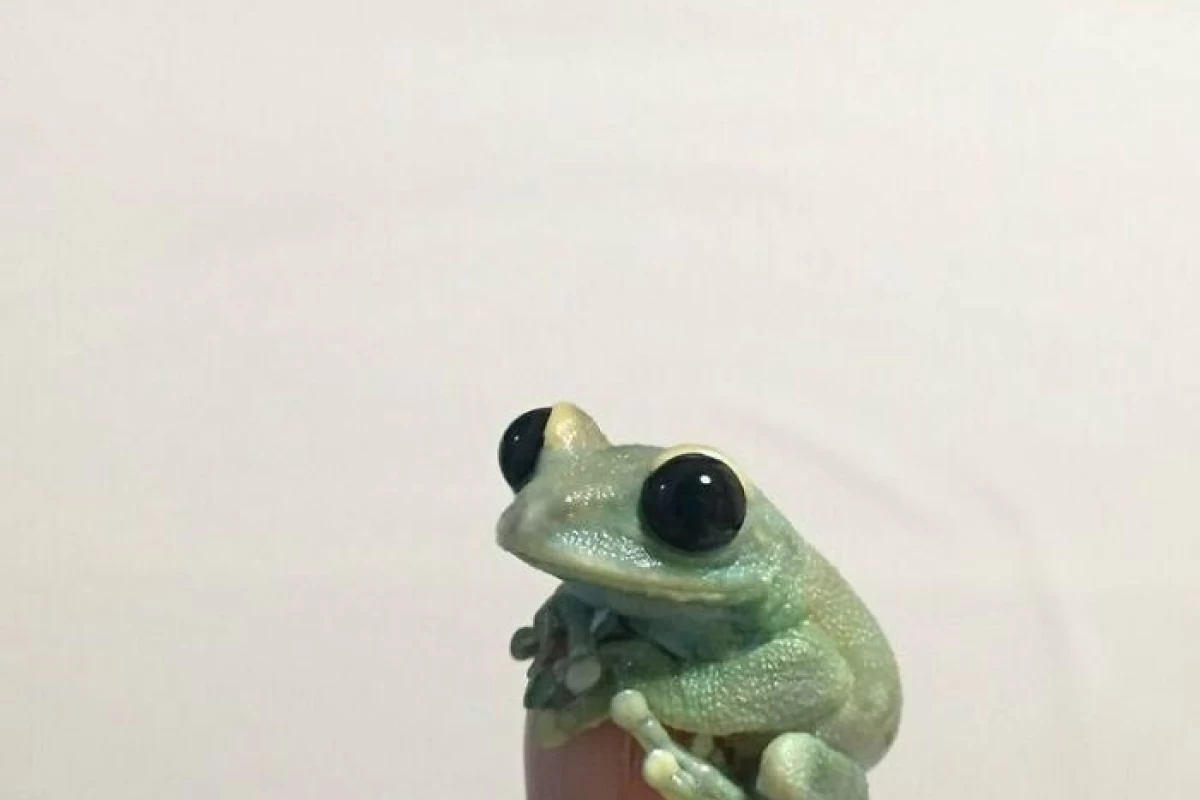 عکس چگونه در مدرسه جدید جای بگیریم؟