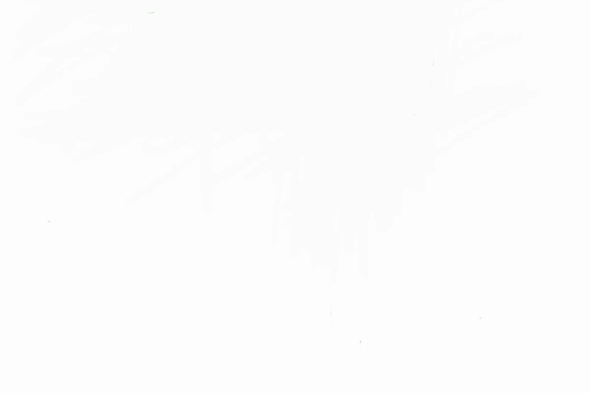 عکس چخبر مدرسه  ؟