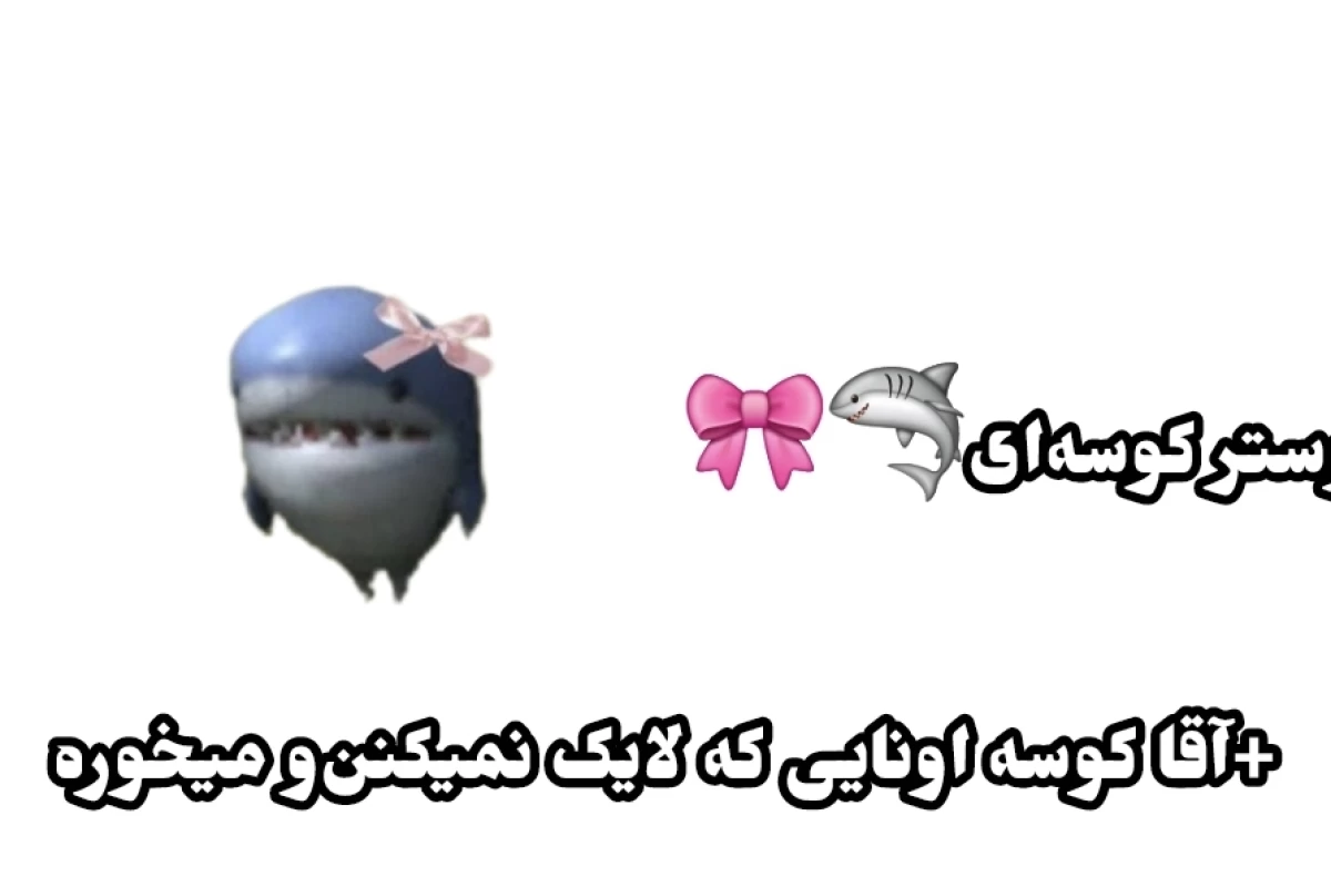 عکس 🧇 : خیلی تاثیر‌گذار بود!