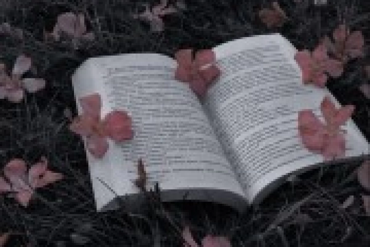 عکس آیا میتونی اسم کتاب رو از روی اولین جمله ی آن حدس بزنی؟