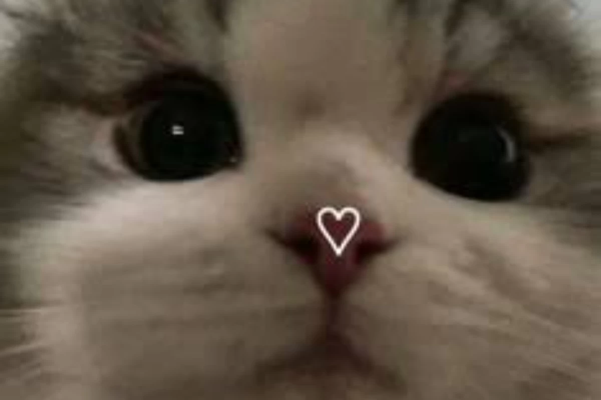 عکس من چگونه آدمی هستم؟