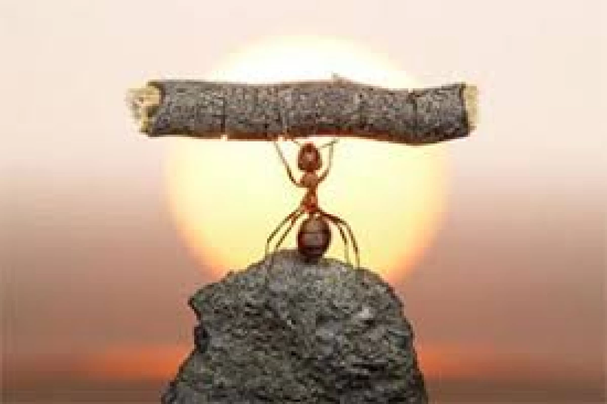 عکس مهم ترین راههای افزایش اعتماد بنفس در جوانان و نوجوانان