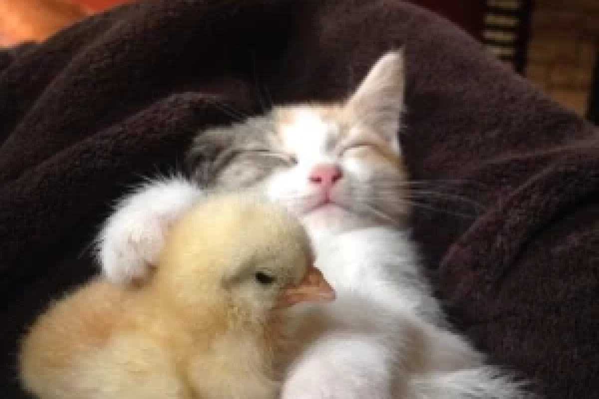 عکس کتاب هایی که خواندنشون یه حس عجیبی بهت میدن