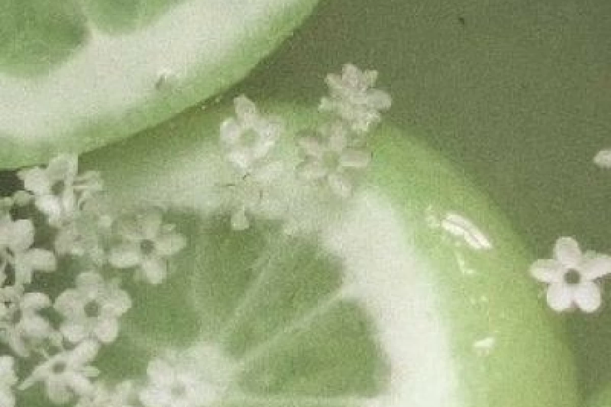 عکس چرا کاراته؟