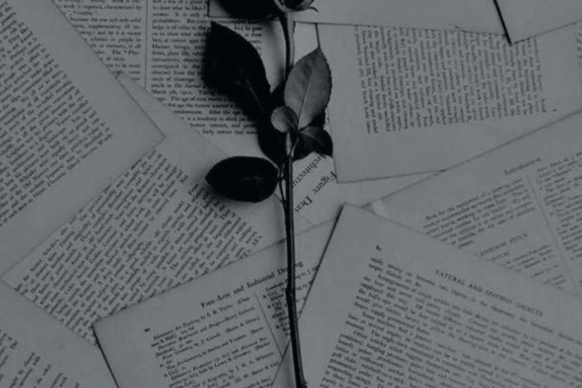 عکس عشق یعنی حماقت