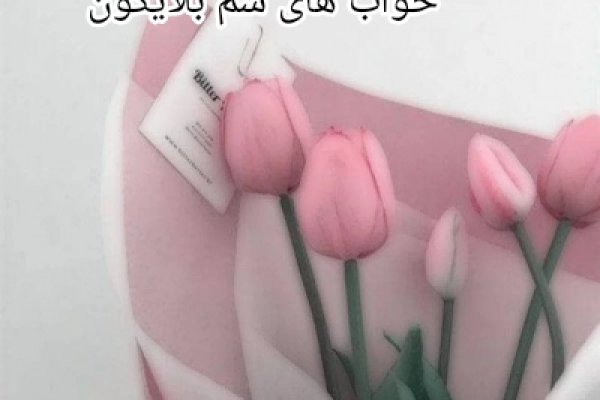 عکس خواب های سم بلایگون