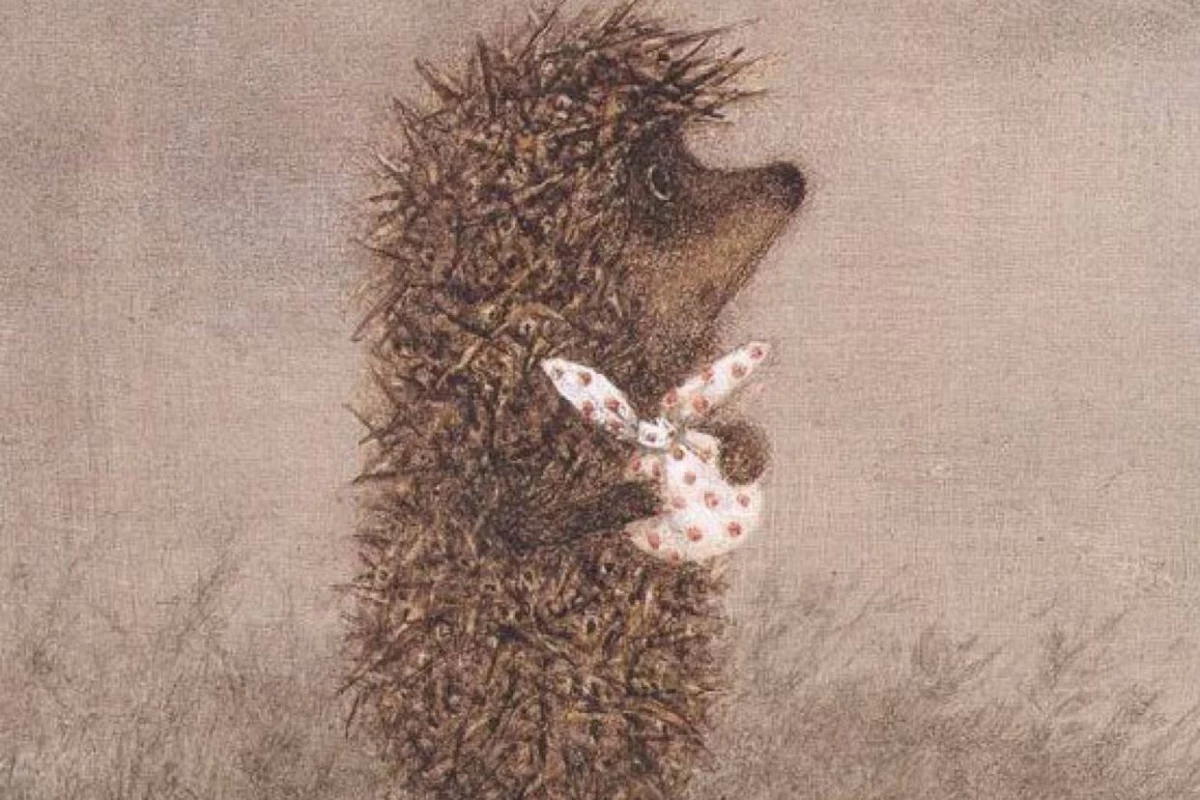 عکس فکت از جوجه تیغی