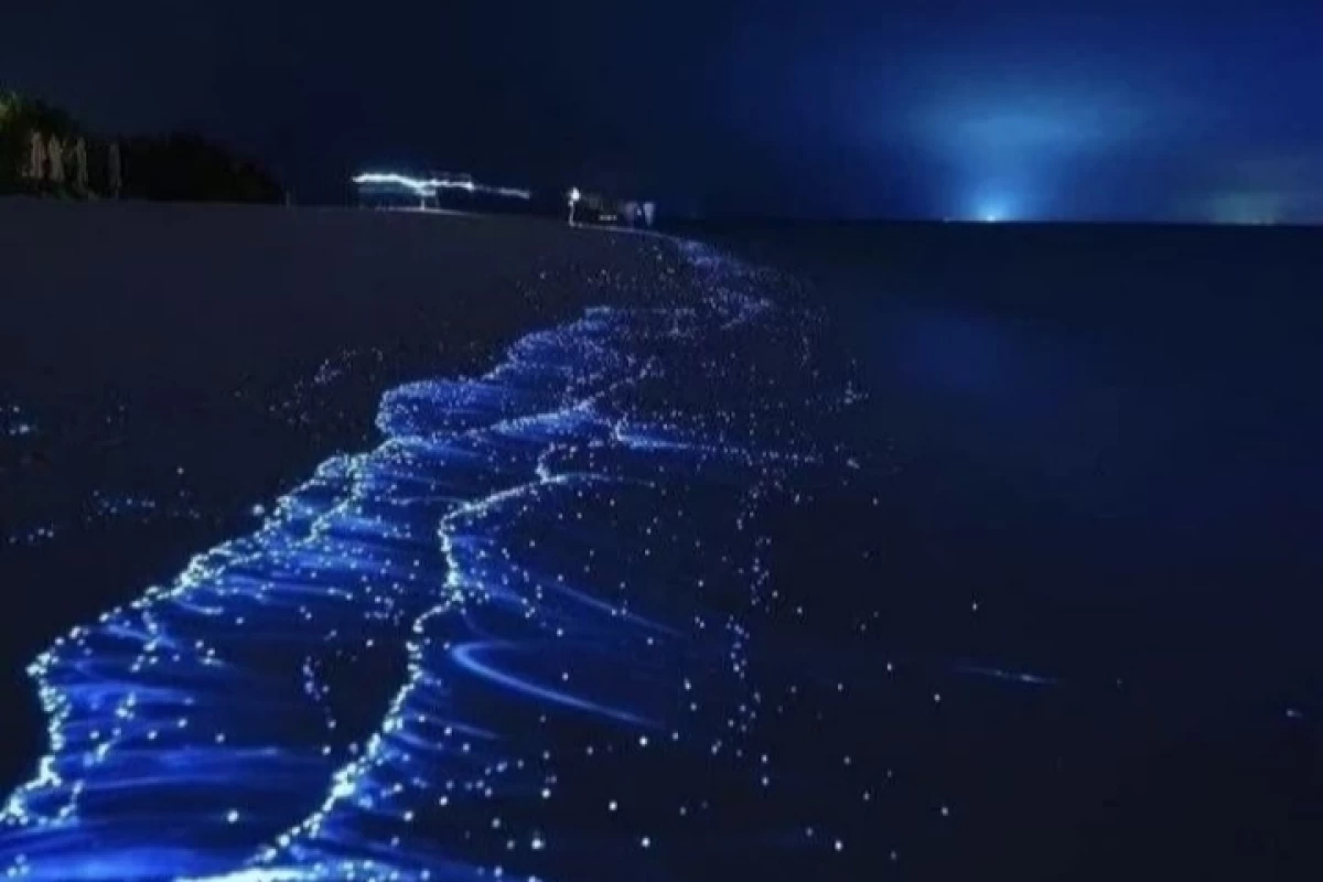 عکس آنتروپی چیه؟