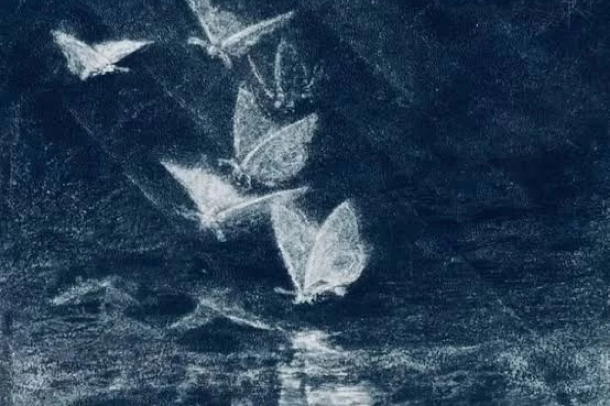 عکس صدا و سیما دست کاراکترها افتاده(فان)