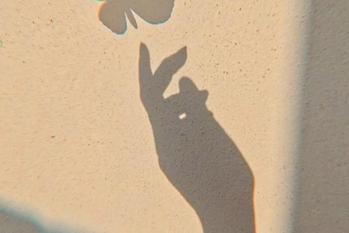 عکس معرفی کیدراما پارت یک