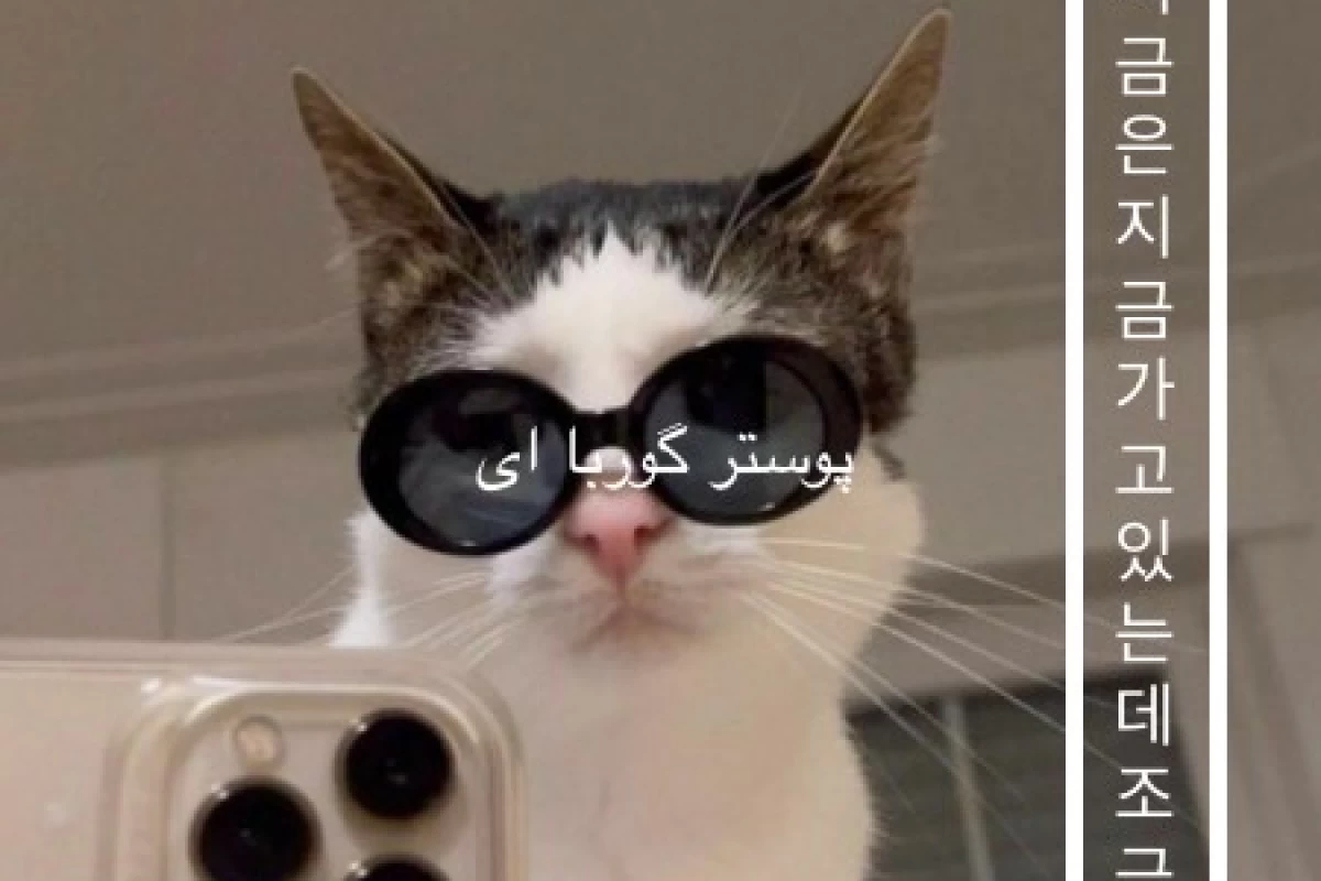 عکس ولاگ روز شنبه ی من