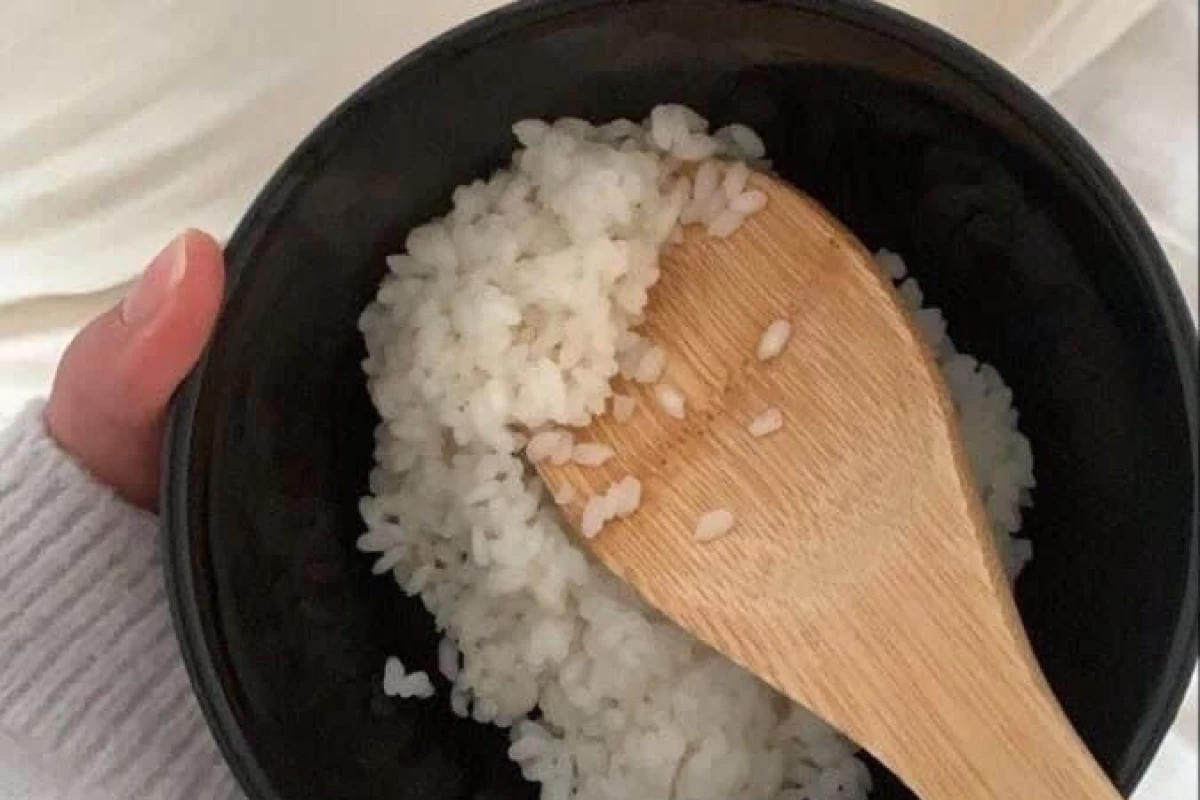 عکس 🦊 : 𝘚𝘶𝘪𝘯𝘢 𝘤𝘰𝘳𝘦