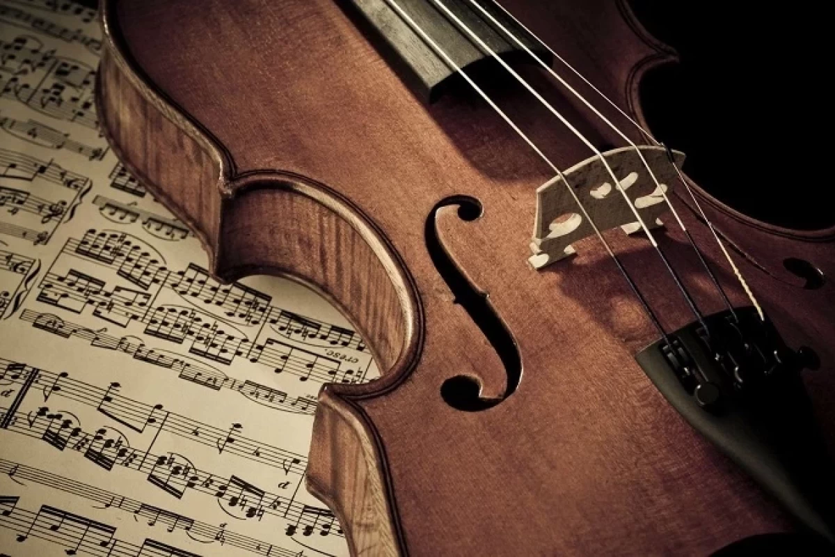 عکس 10 فکت جالب راجب ساز ویولن!