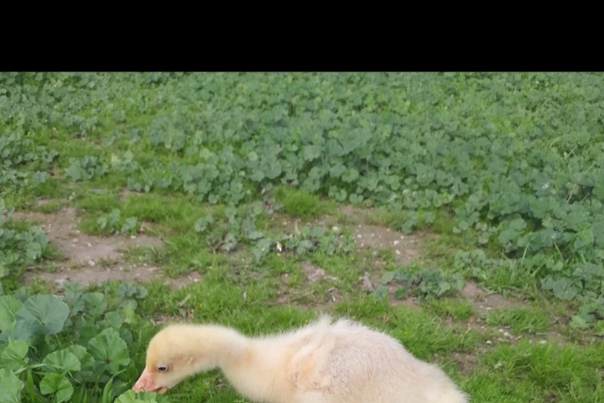 عکس سفر به گذشته