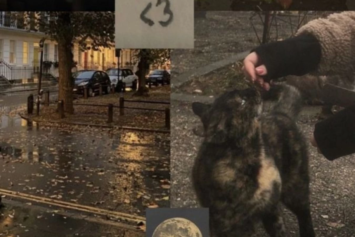 عکس جمله هایی از جنس حق